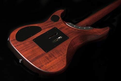FW-Nuno Electric