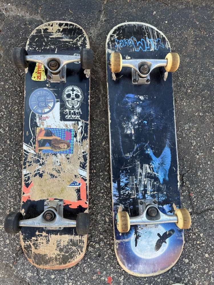 Complete Skateboards Decks