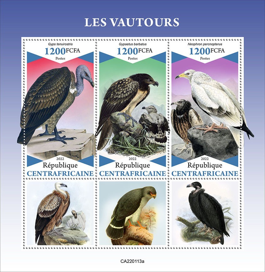Vultures