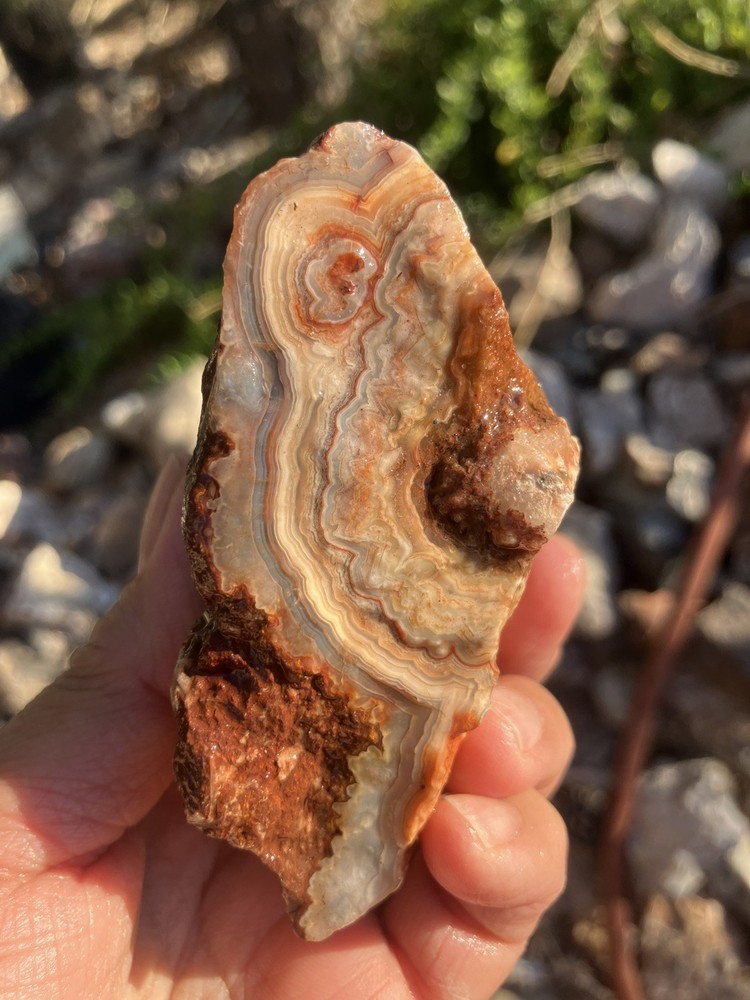 Crazy Lace Agate (rough)