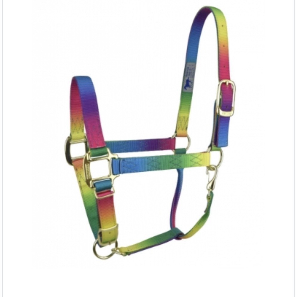 Nylon Adjustable Horse Halter; Size Large; Color: Rainbow