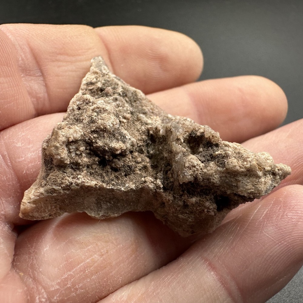 Titanosaur dinosaur eggshell fossil