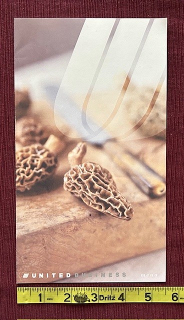 United Air Lines Business Menu 1998