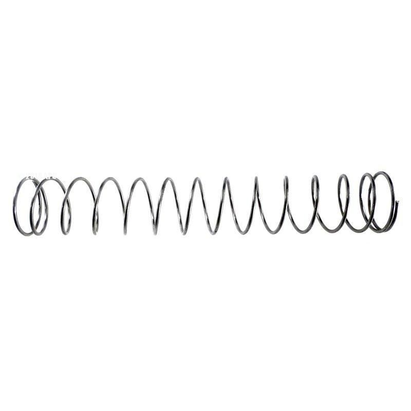 Pentair Spring SS 1Lb. 72523 072523