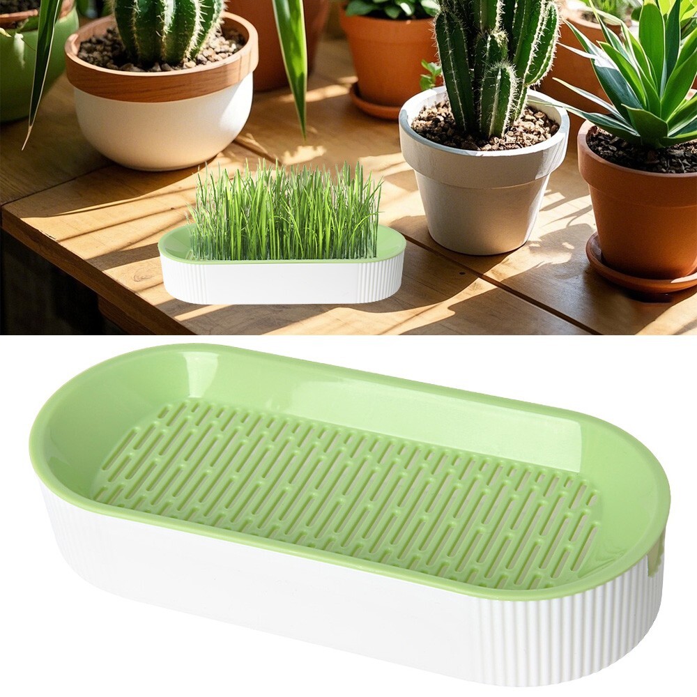 1PC Hydroponic Cat Grass Box Soilless Planting Double-layer Design Cat Grass Pot