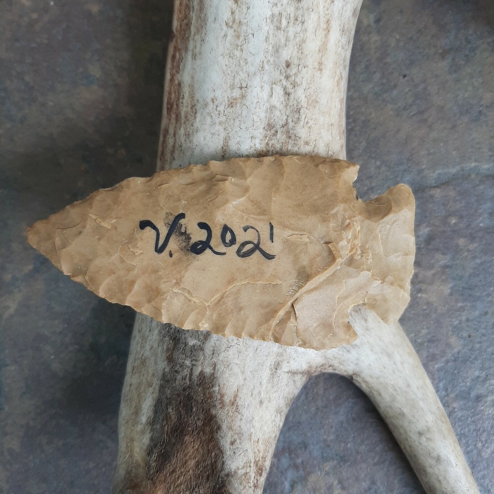 mallard drake duck hand painted on a arrowhead