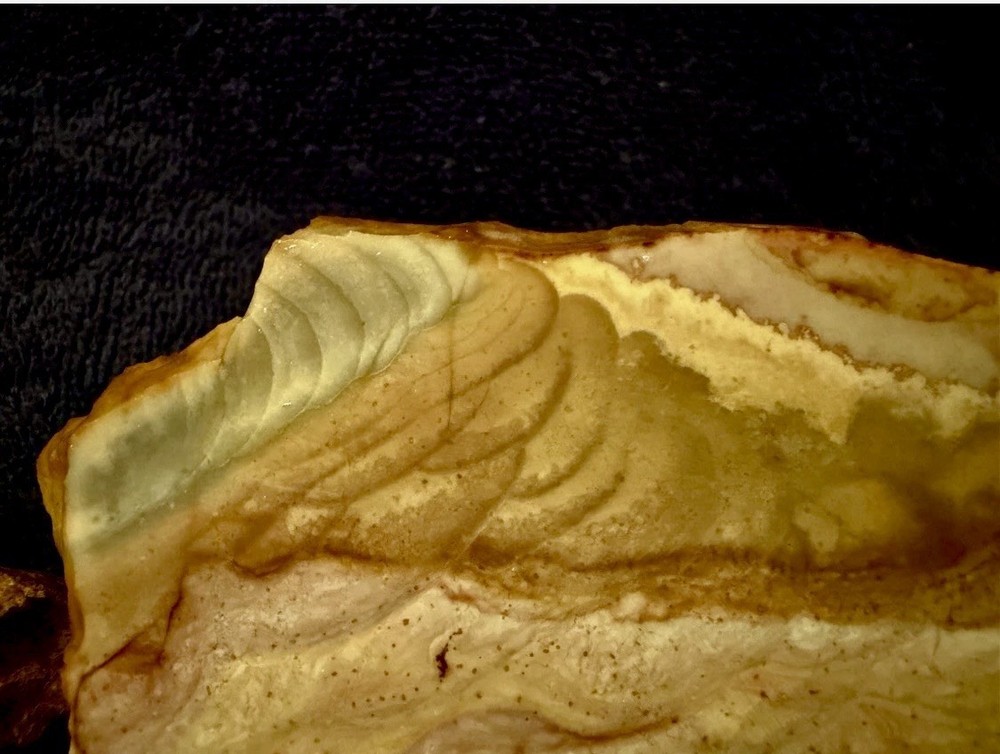 Beautiful Orbicular Poly Chrome Jasper Slab, Lot #255