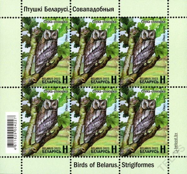 2023 Belarus Owls Birds of Belarus - Stringiformes MNH