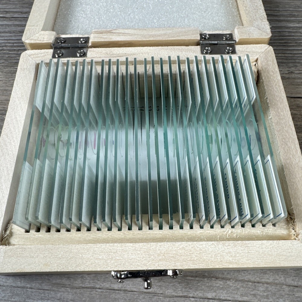 AmScope PS25 Prepared Microscope Slide Set