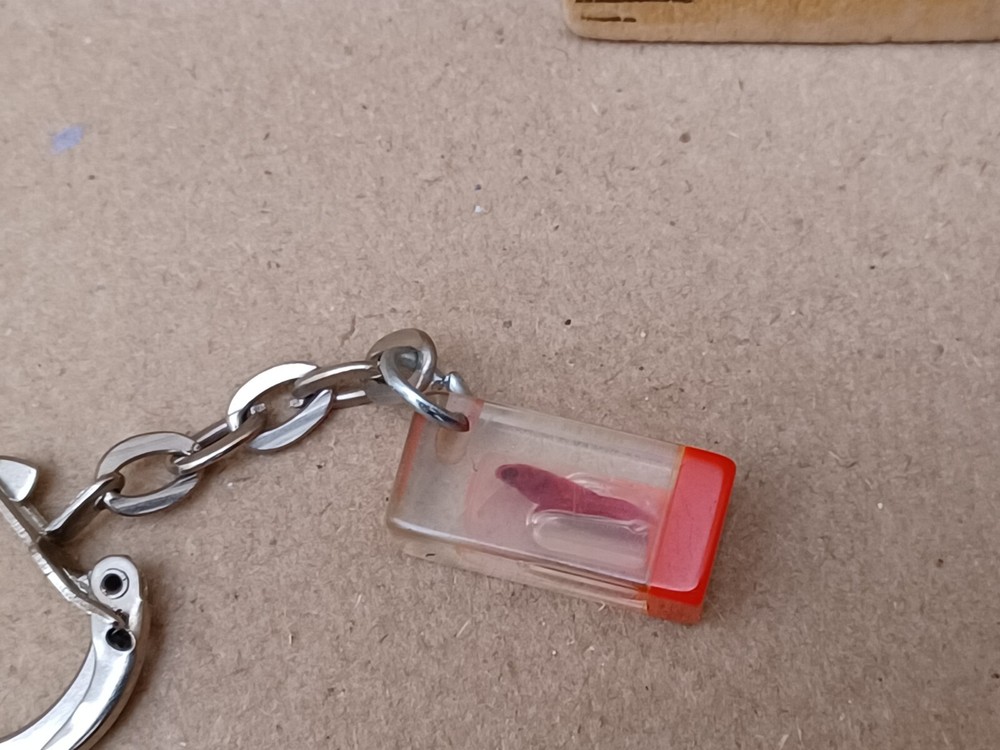 Fish Specimen Acrylic Encased Keychain
