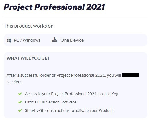 Microsoft Project Professional 2021