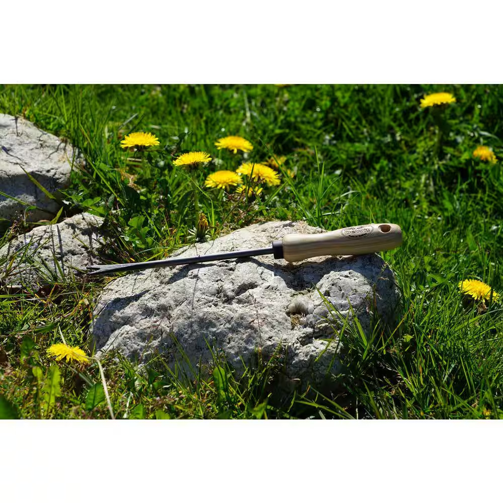 5 In. X 14 In. L Handle Dandelion Weeder