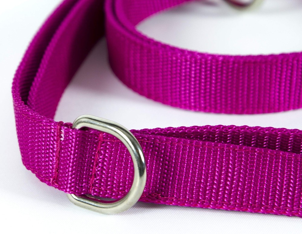 Adjustable Dog Leash 2m/6.5ft Blue