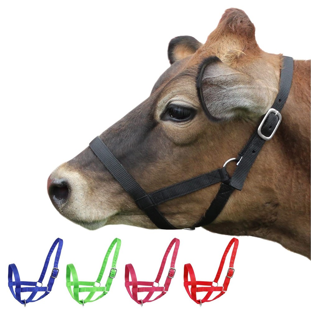 Adjustable Nylon Halter For Cattle Medium 500-800Lbs Durable Classic Design
