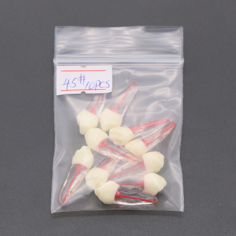 10 Pcs Dental Autoclavable Endo Root Canal Teeth Model Study Practice Typodont