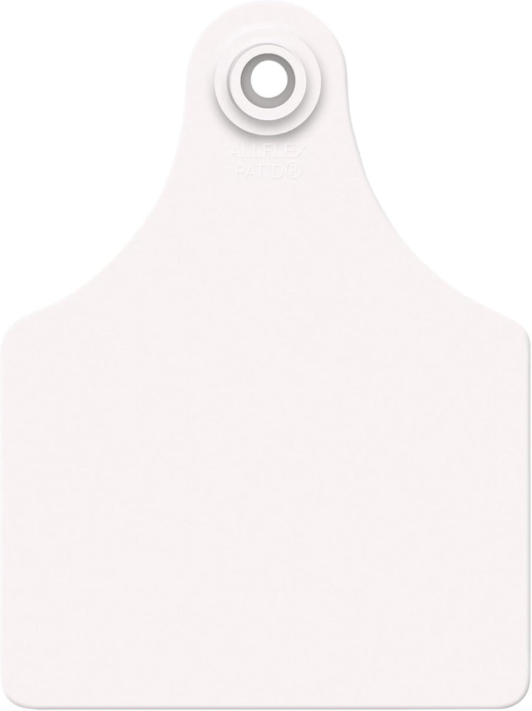 USA  Large White Blanks Ear Tags