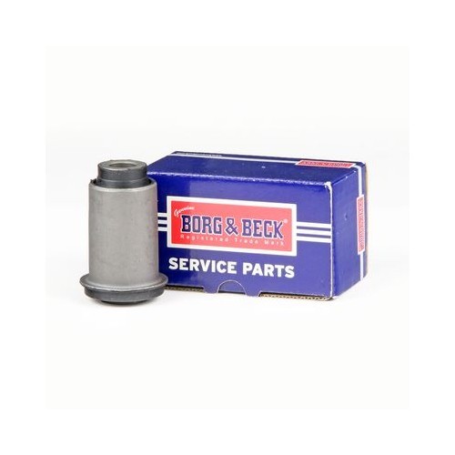 BORG & BECK Mounting, control/trailing arm BSK8169