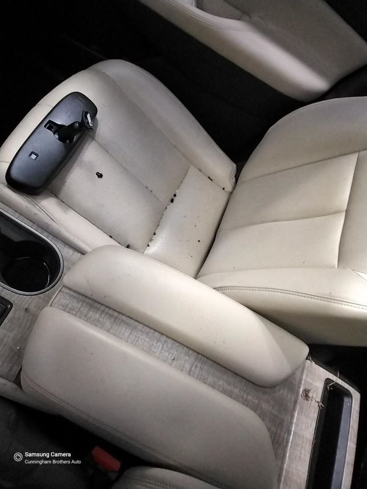 Speedometer MPH Fits 22-24 MURANO 4076033