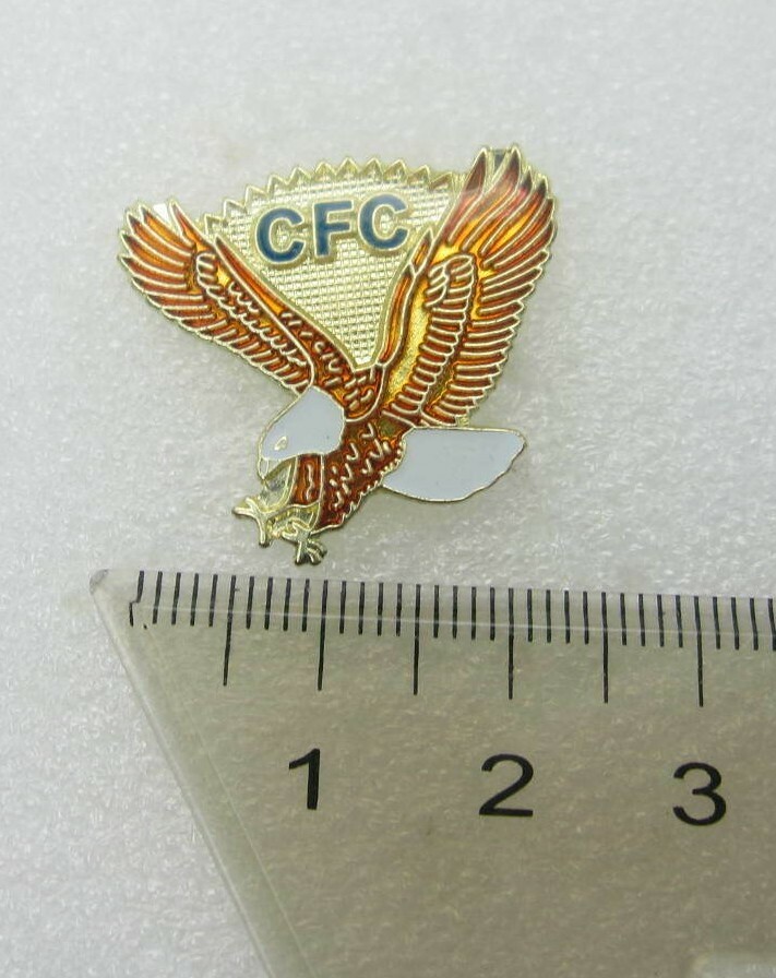 CFC Flying Eagle Lapel Pin (A924)