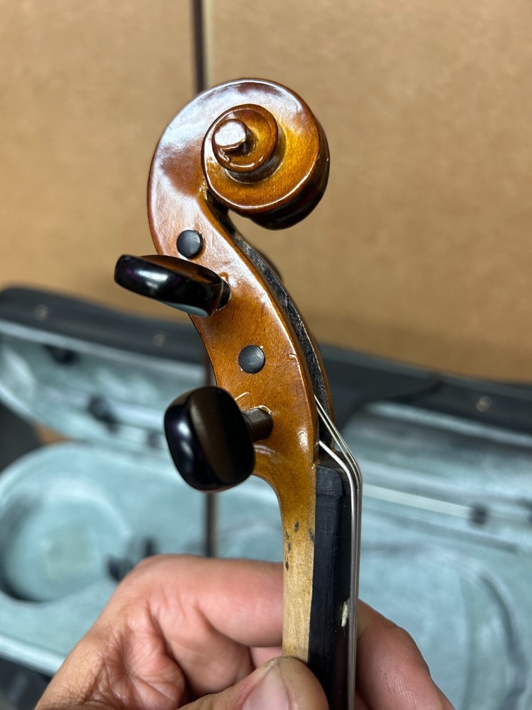 Torrelli Viola 12" With Case and Bow
