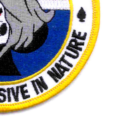 A Company 1st Squadron 101st Division Spectres Patch