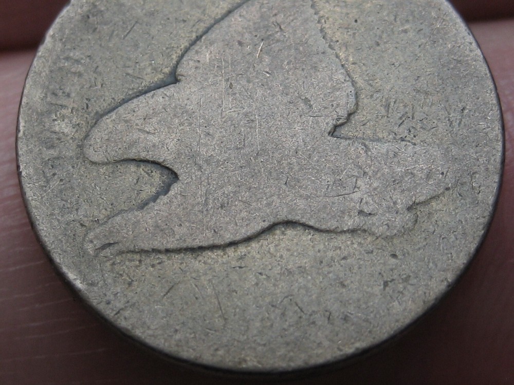 1856-1858 Flying Eagle Penny Cent- About Good Details