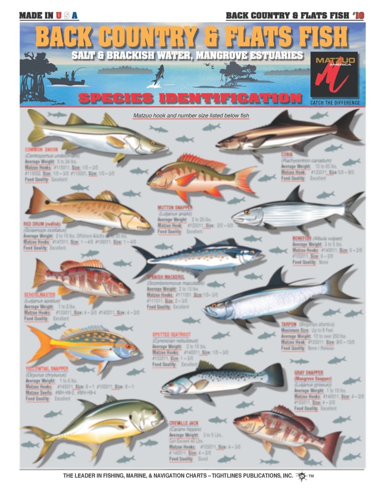 Fishermen's Saltwater Fish Identification Set - Waterproof Quick Reference Guide