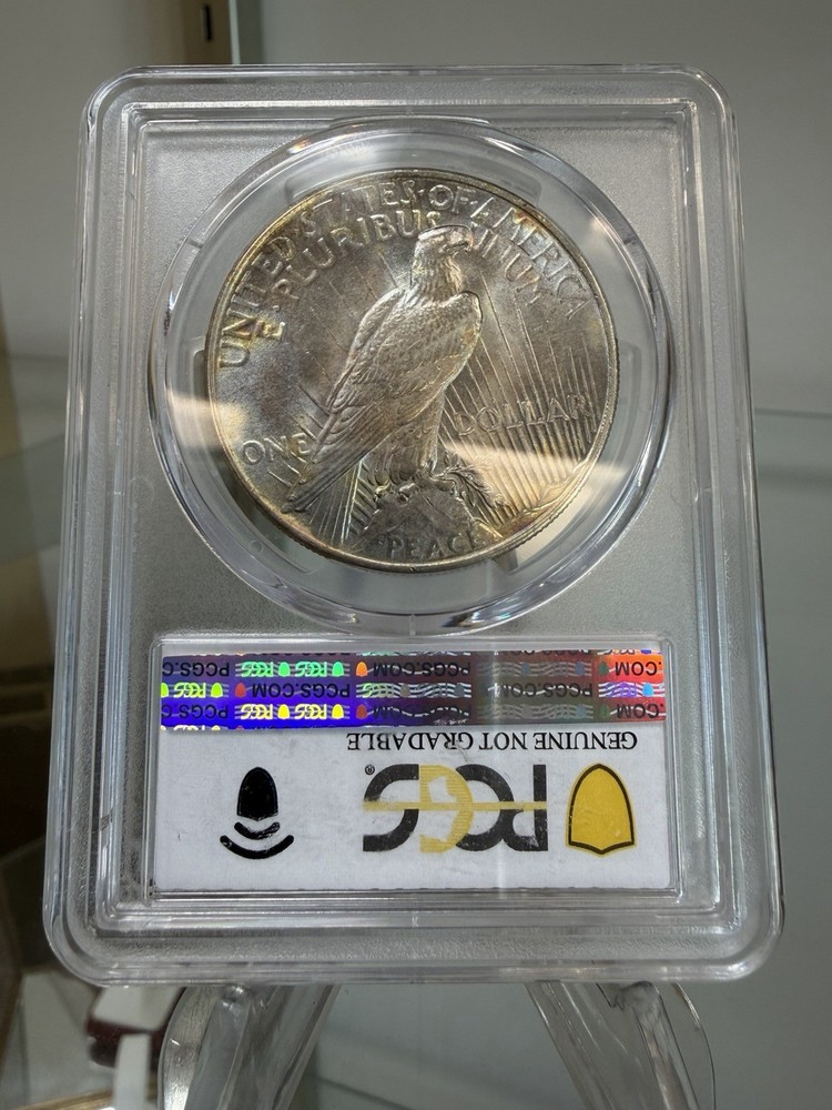 1925 Silver Peace 1 Dollar PCGS Questionable color Unc Detail