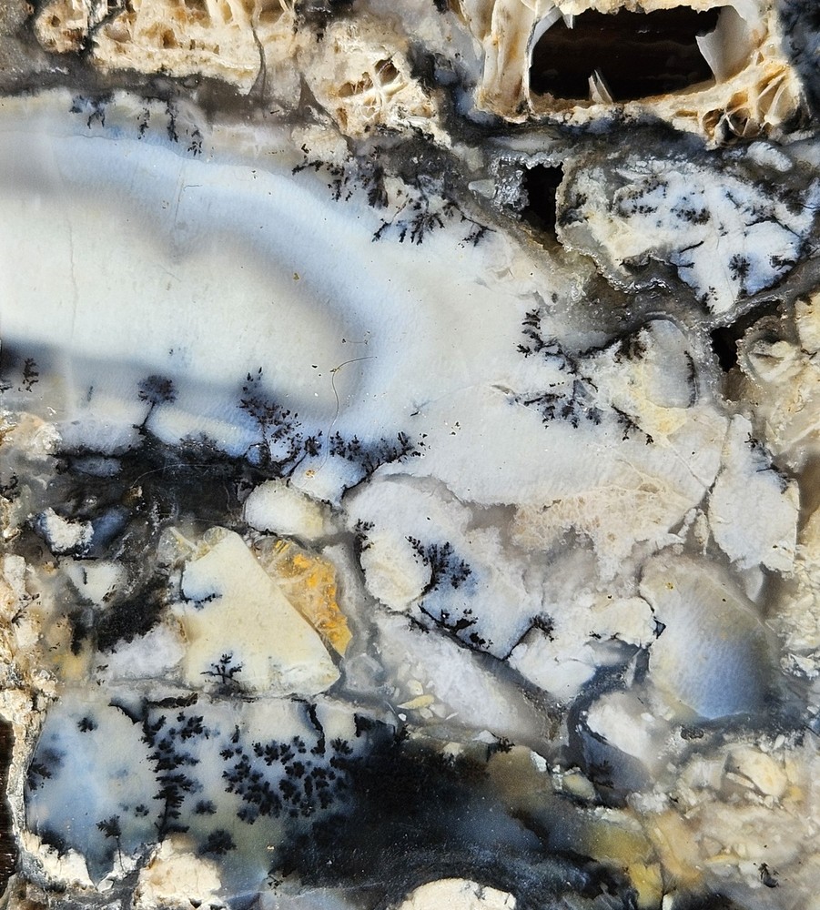 Dendritic Agate Lapidary Slab 78 Grams