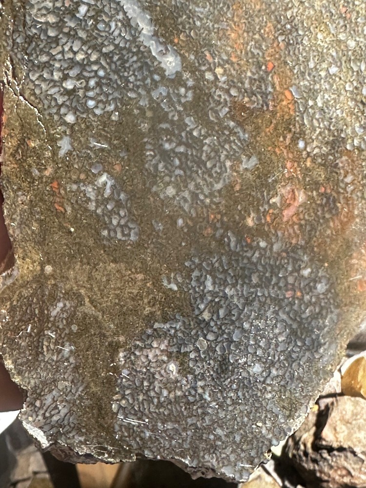 Dinosaur bone rough **hxtled large slab.