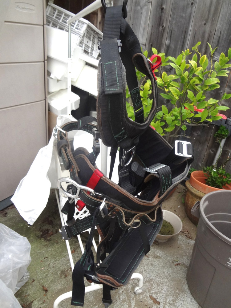 Buckingham Climbing Belt