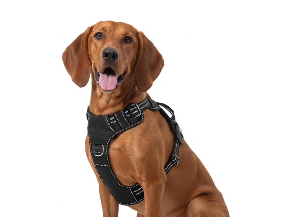 . No-Pull Dog Harness with Dual Leash Attachment Points, Soft Adjustable Padd...