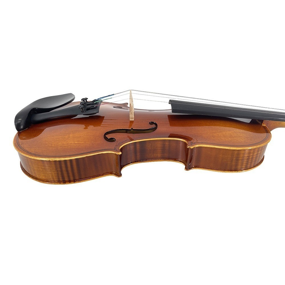 4/4 Violin Spruce Top Maple Back Beginner Gift Set with Case,Bow,Shoulder Rest
