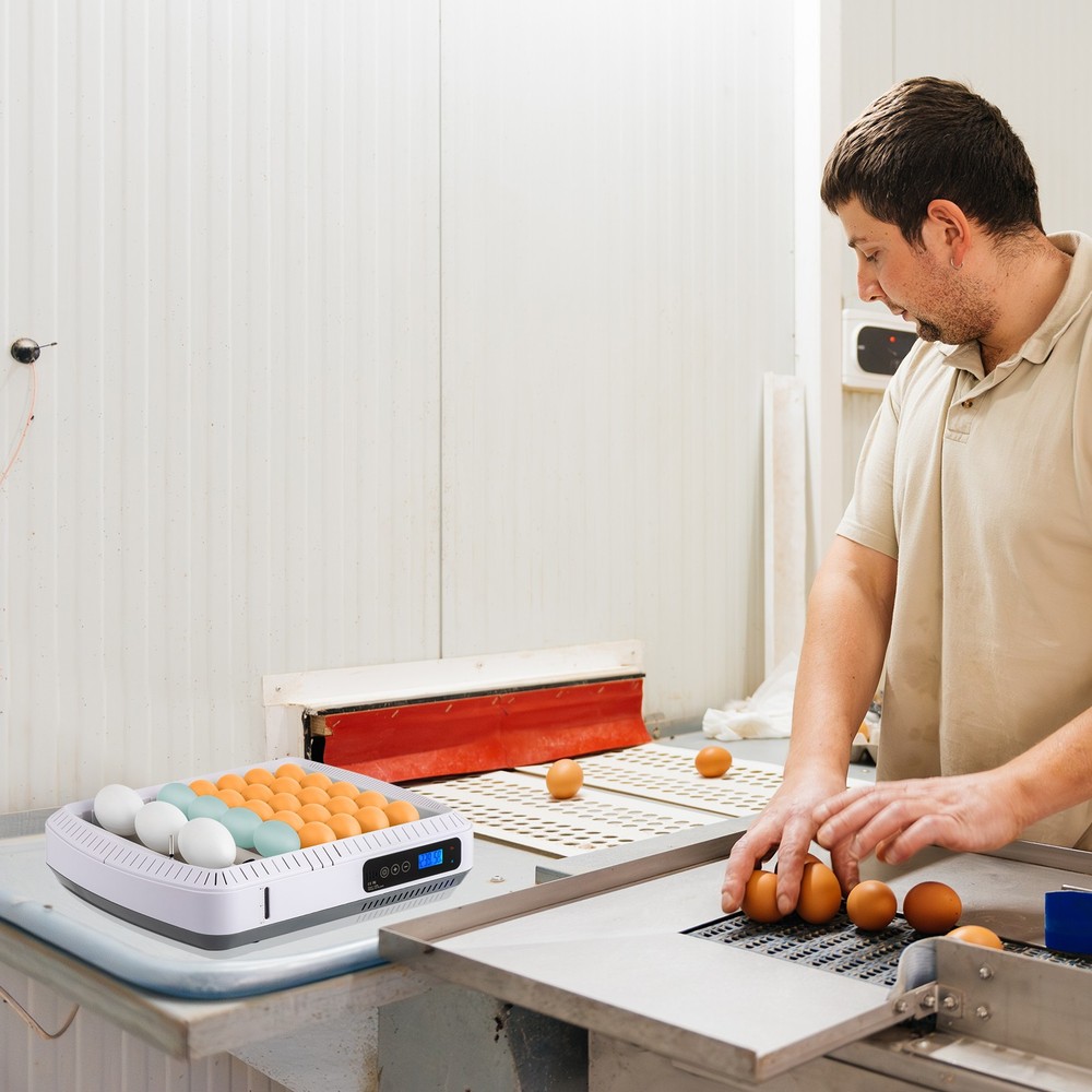 US 35 Egg Incubator with Automatic Egg Turning, Temperature and Humidity Control
