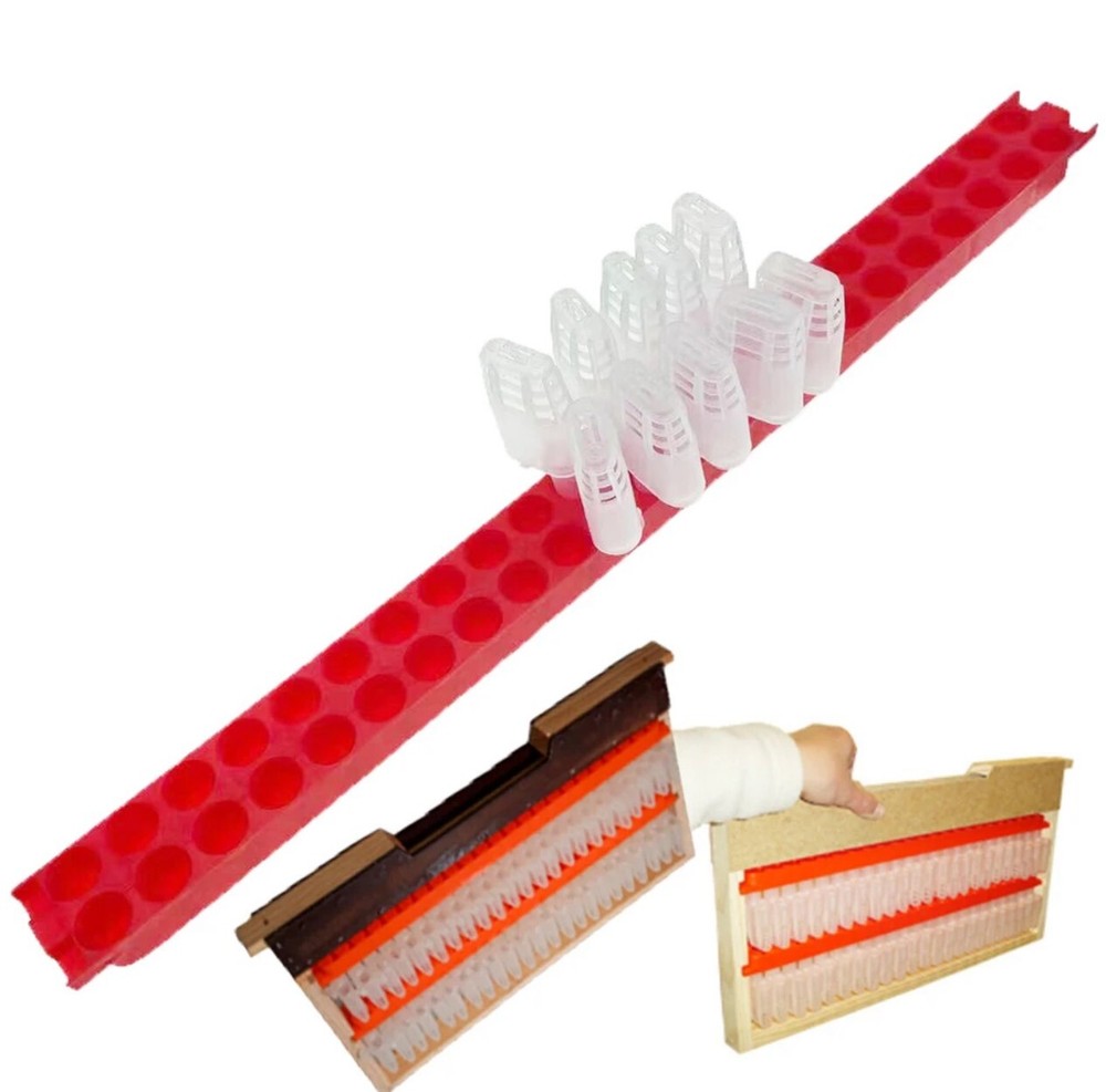 Beehive queen Rearing kit