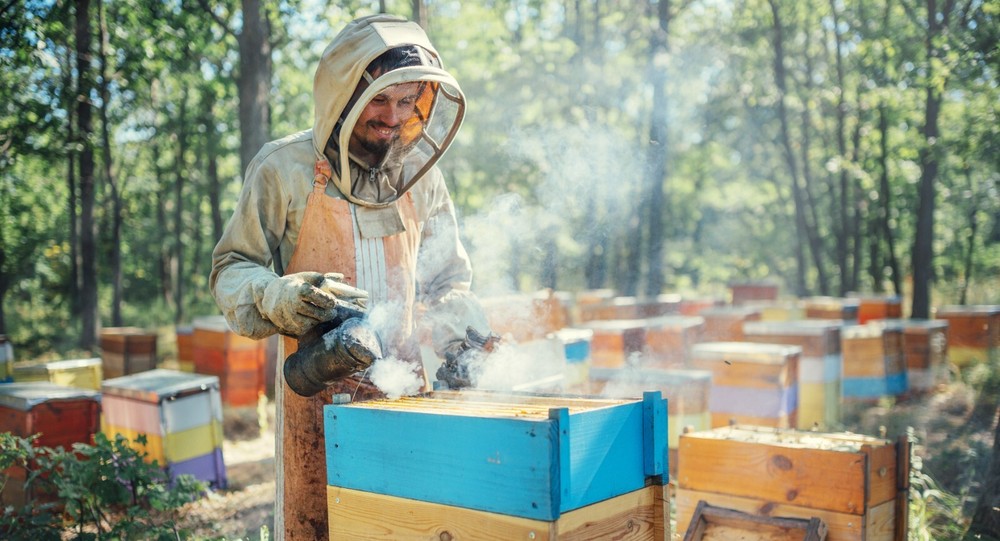 Bee-Sweet Liquid Bee Feed