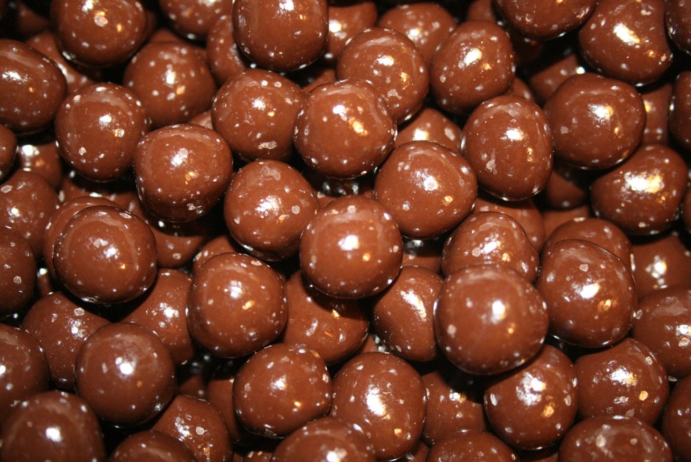 DARK CHOCOLATE HAZELNUTS, 1LB