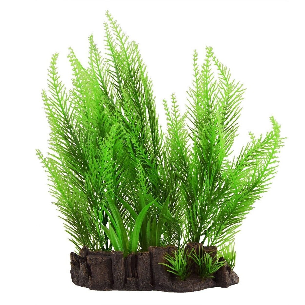 RA Underwater Treasures Feather Ferns