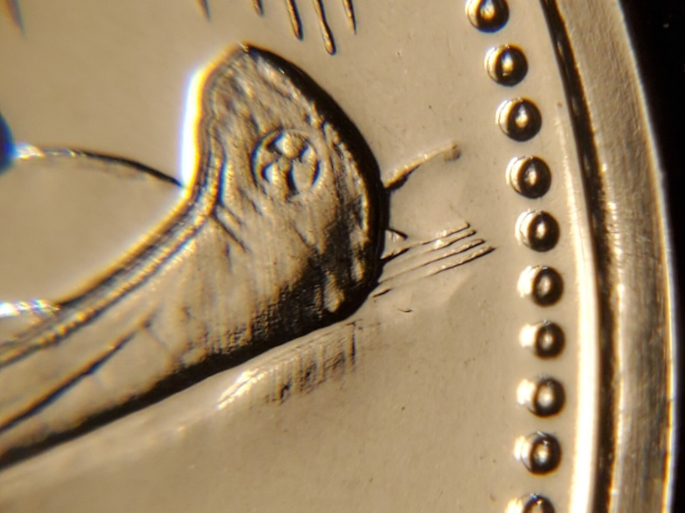 1977 Type 2 SP Canada One Dollar Unc SPECIMEN Nickel Dollar