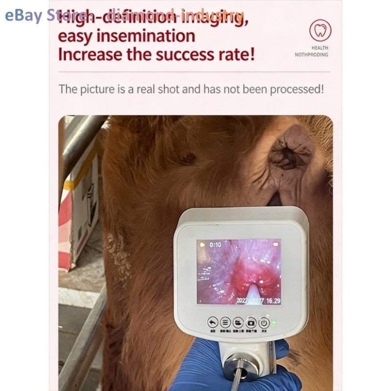 Visual insemination gun and inseminator for cattle Artificial insemination tools