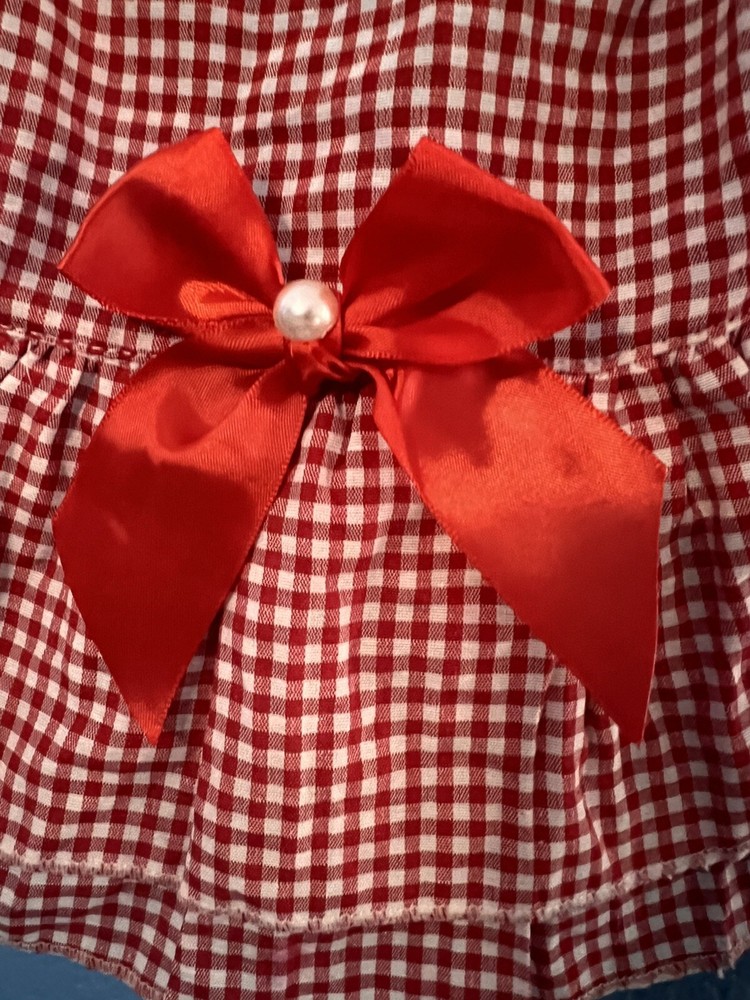 Cat Picnic Style Red Dress Medium