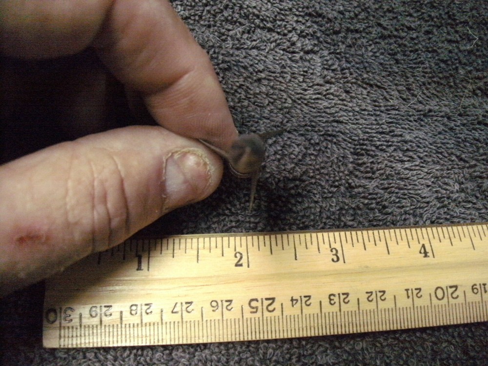 Satellite  Archery Screw on broad-head ,  See pictures