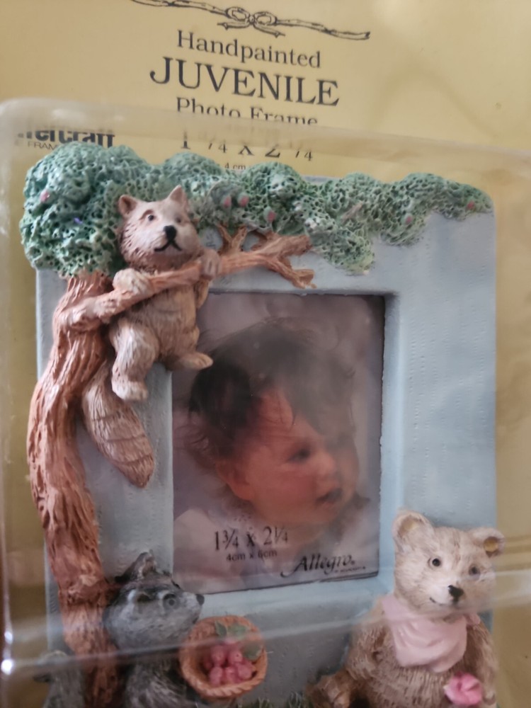 Intercraft Handpainted Juvenile Photo Frame