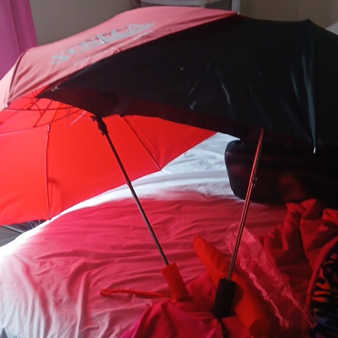 Red Black Compact Folding Men's Umbrella Solid Pattern Set of 2