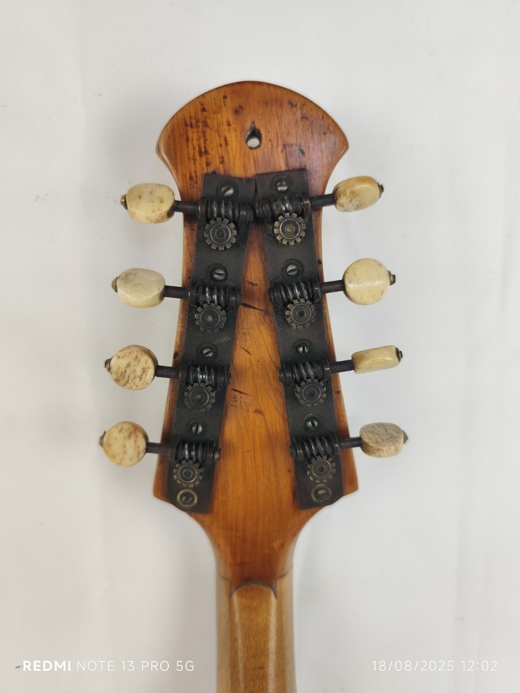 Mandolin 4/4 Giuseppe Quaglia Naples 1929 曼陀林 만돌린マンドリン