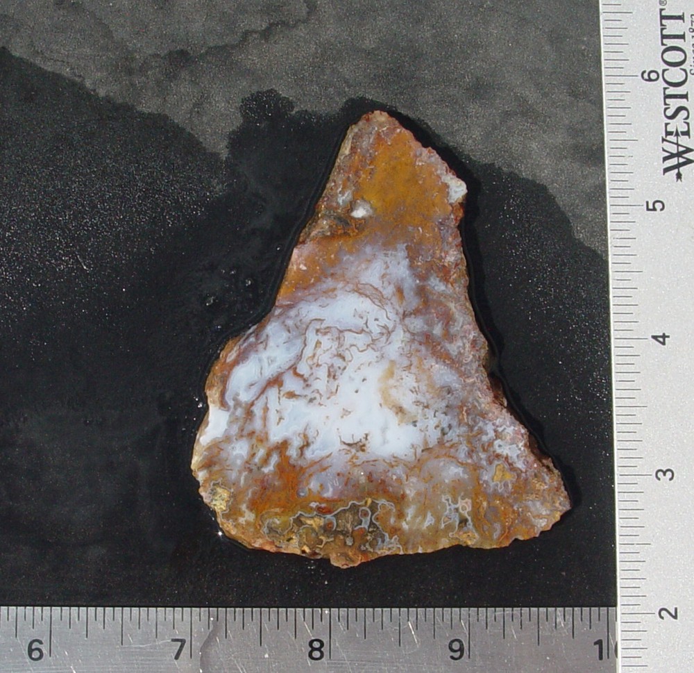 Gold Moss Agate Lapidary Slab 1487