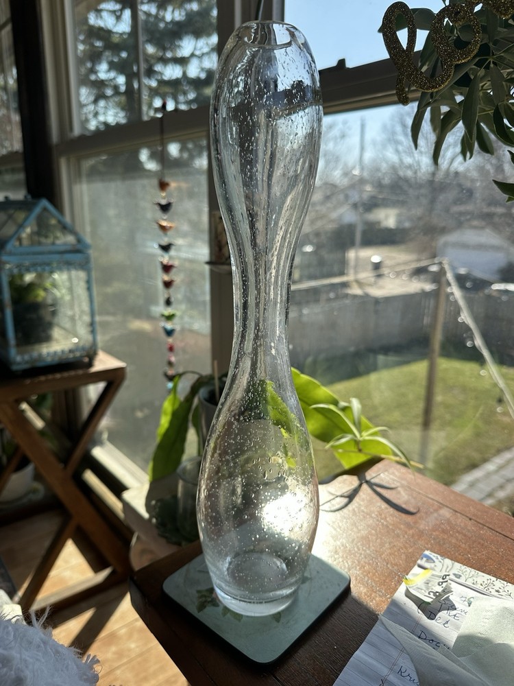 Vintage Clear Glass Bubble Vase