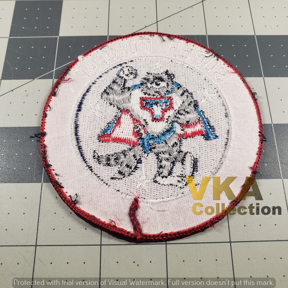 Super Tomcat Morale Patch USAF