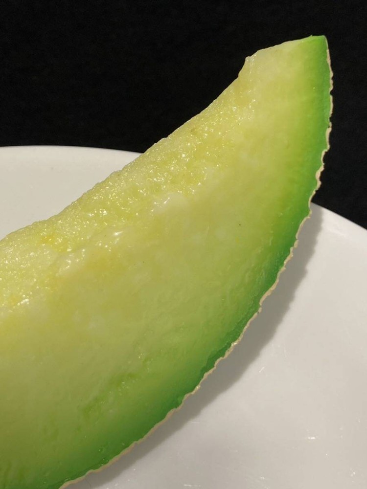Food sample cut melon large