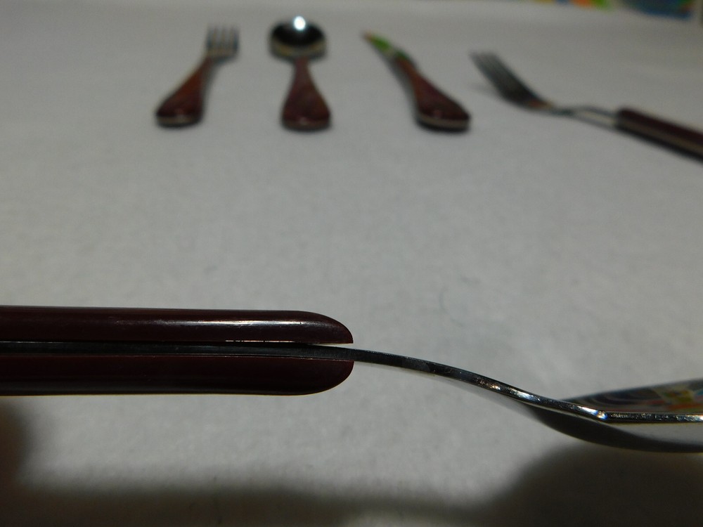 Fiesta Flatware Place Setting for Five Cinnabar